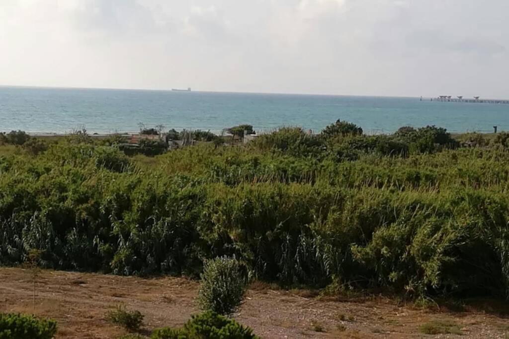 Apartamento Playa Canet Valencia Kültér fotó
